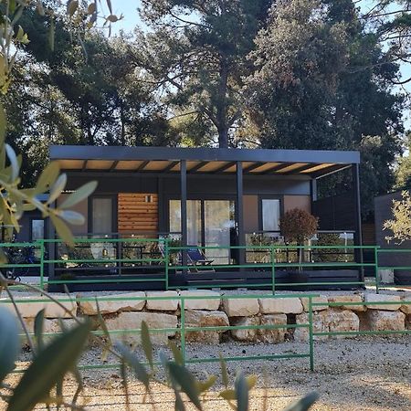 Luxury Mobile Homes Ivaci Rovinj Exteriör bild