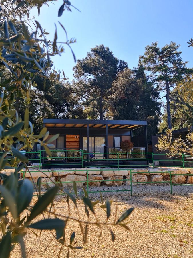 Luxury Mobile Homes Ivaci Rovinj Exteriör bild